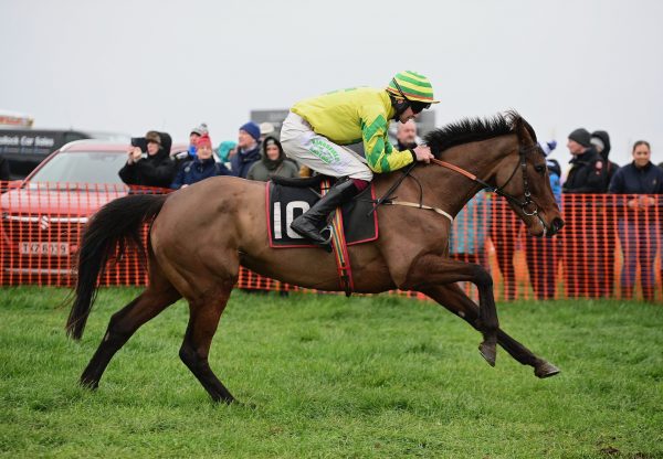 Shes Delighted (Vadamos) Wins Her Maiden At Portrush