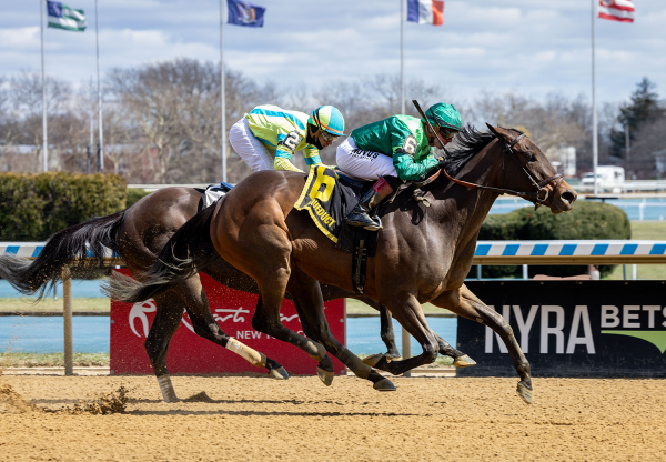 Shidabhuti (Practical Joke) Wins Gr.3 Distaff Stakes at Aqueduct