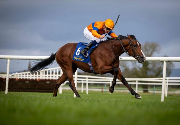 Shosholoza Australia Tipperary