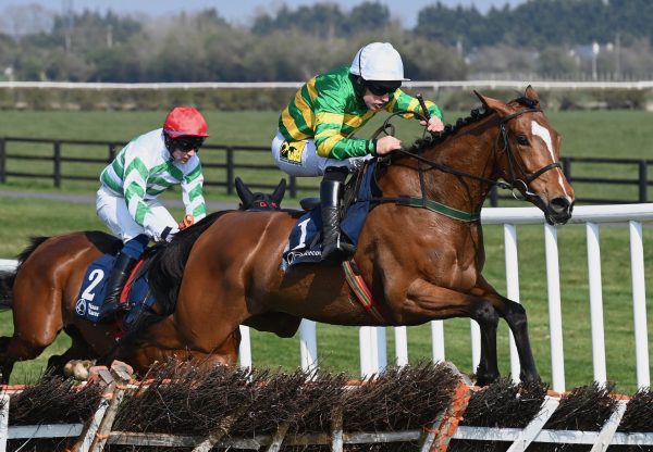 Shuffle The Deck (Walk In The Park) Wins The Rated Novice Hurdle At Naas
