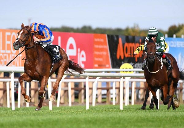 Smiling No Nay Never Down Royal