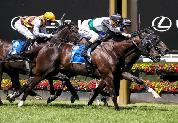So Si Bon (So You Think) winning the Listed March Stakes at Flemington
