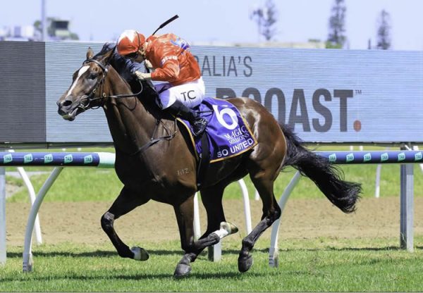 So United (So You Think) wins the $1million Magic Millions Subzero at the Gold Coast