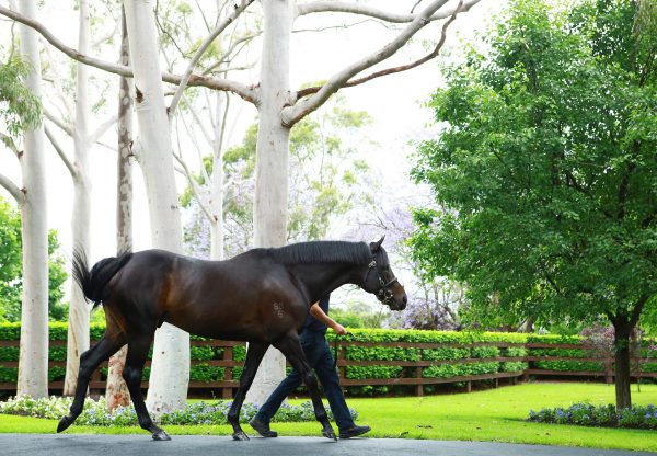 So You Think Walking