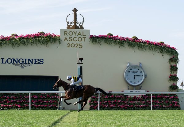 Sober (camelot) Wins The Queen Alexandra Stakes