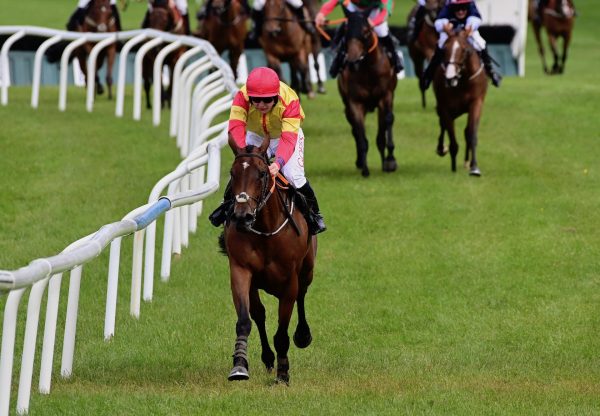 Some Dove (Walk In The Park) Wins The Maiden Hurdle At Kilbeggan