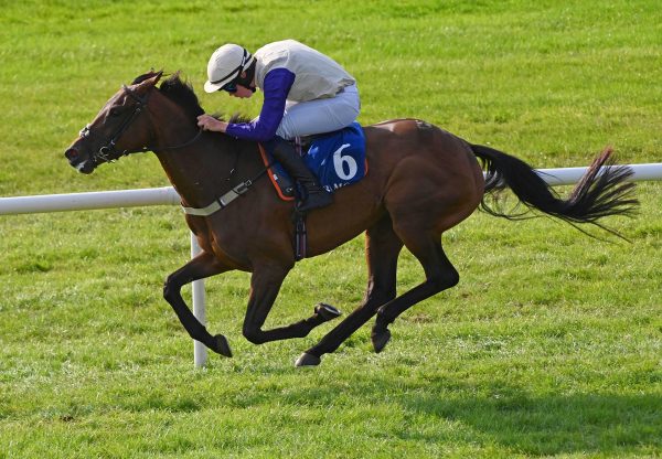 Something Fabulous (getaway) tramore