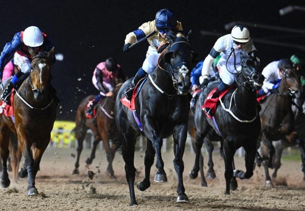 Spartan Arrow Sioux Nation Dundalk