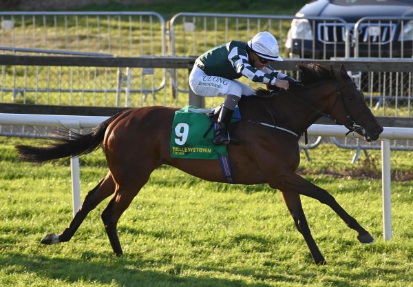 Stellar Quality (wootton bassett) Bellewstown