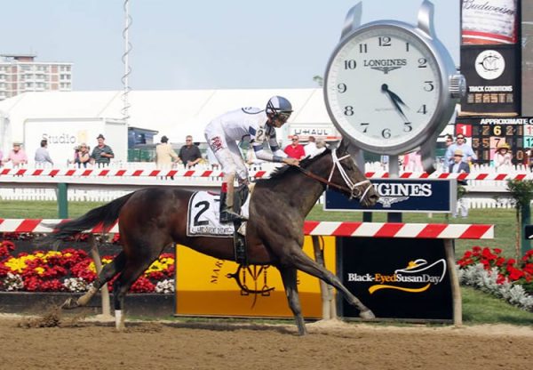 Stopchargingmaria 750