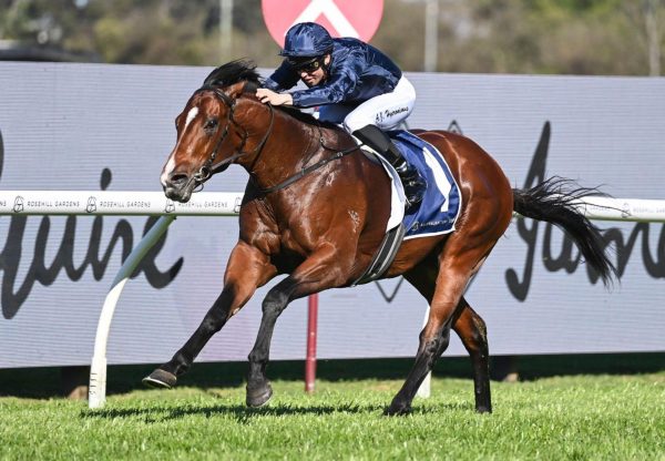 Storm Boy San Domenico Stakes