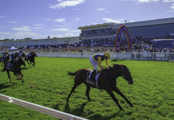 Storm Boy (Justify) winning the  $3 million Magic Millions 2YO Classic