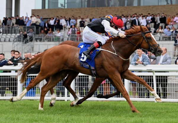 Suzie Songs (starspangledbanner) Wins Group 3 Anglesey Stakes