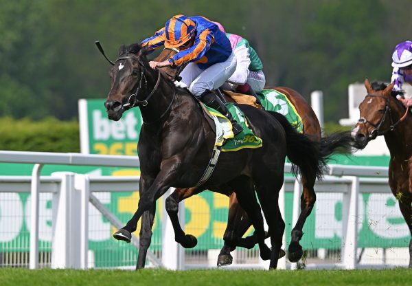 Swagman (Wootton Bassett) Wins The Group 3 Bet365 Classic Trial At Sandown