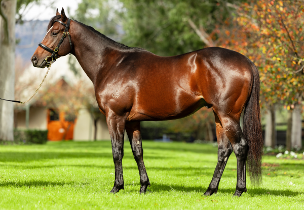 Switzerland Conformation Website