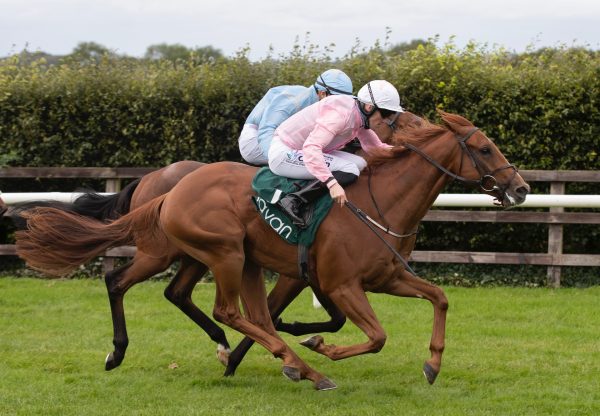 Tammany Hall (No Nay Never) Wins At Navan