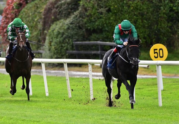 Tangapour (Wootton Bassett) Wins His Maiden At Killarney