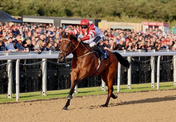 Ten Pounds (Ten Sovereigns) Wins At Newcastsle