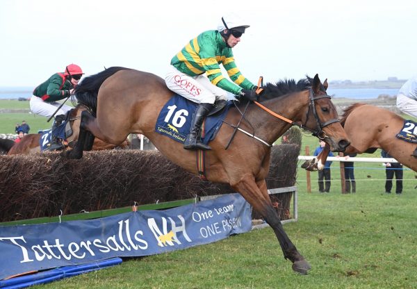 That's Nice (Walk In The Park) Impresses At Bellharbour