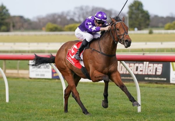 The Duke Of Dubai (Pride Of Dubai) winning at Sale