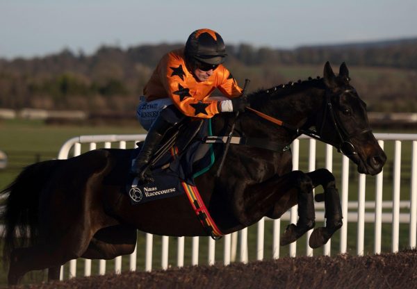 The Great Nudie Wings Of Eagles Naas