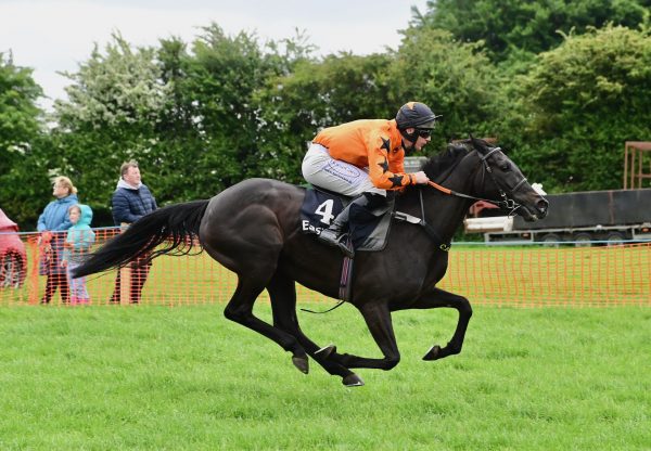 The Great Nudie (Wings of Eagles) Impresses On Debut