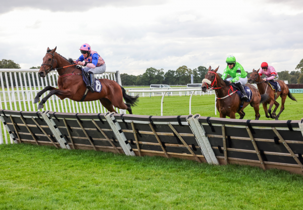 The Hatchet Vadamos Perth