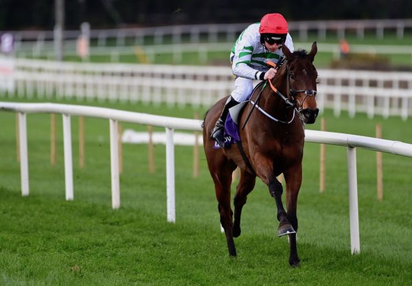 The Yellow Clay (Yeats) Wins On Debut At Leopardstown