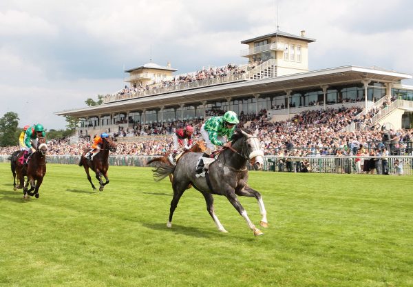 The Grey Gatsby (Mastercraftsman) winning the G1 Prix du Jockey Club at Chantilly