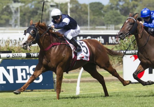 The United States 7501