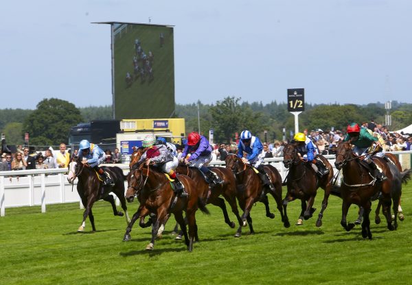 The Wow Signal (Starspangledbanner) winning the G2 Coventry Stakes at Royal Ascot