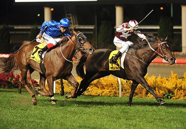 Think Bleue (So You Think) winning the G3 Alexandra Stakes at Moonee Valley