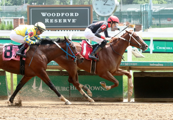 Three Echoes (Echo Town) Winning Churchill Msw