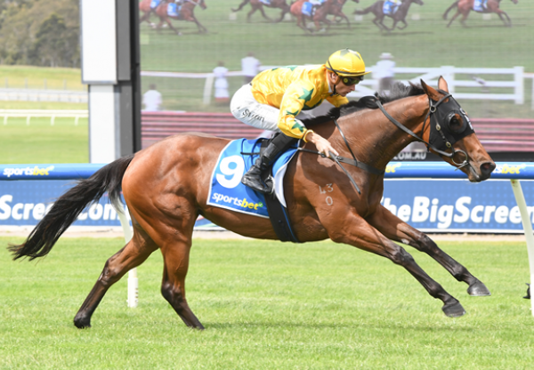 Time To Chat (Pierro) winning at Sandown