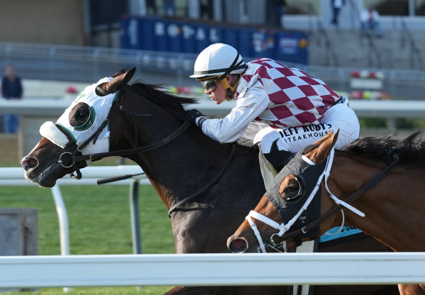 Tiz Dashing Tiz The Law Wins Gr 3 Hill Prince