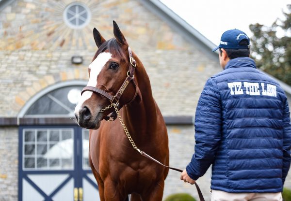 Tiz The Law Website6