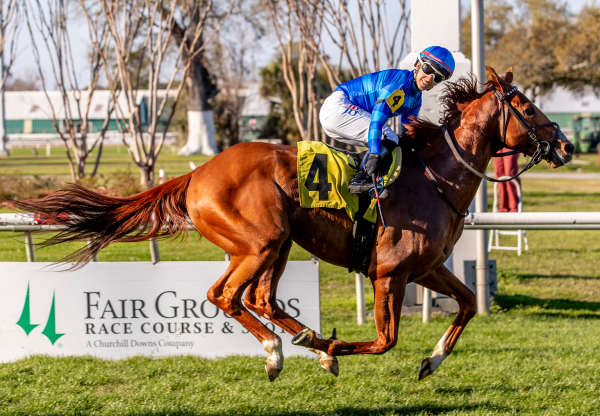 Toms Magic (Justify) Wins Black Gold S