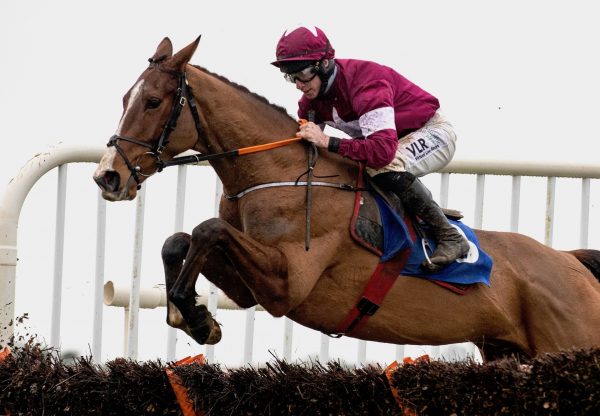 Torygraph (Mahler) Secures Back To Back Wins At Thurles