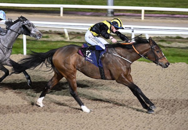Touch The Sound (Churchill)  Wins Dundalk Maiden