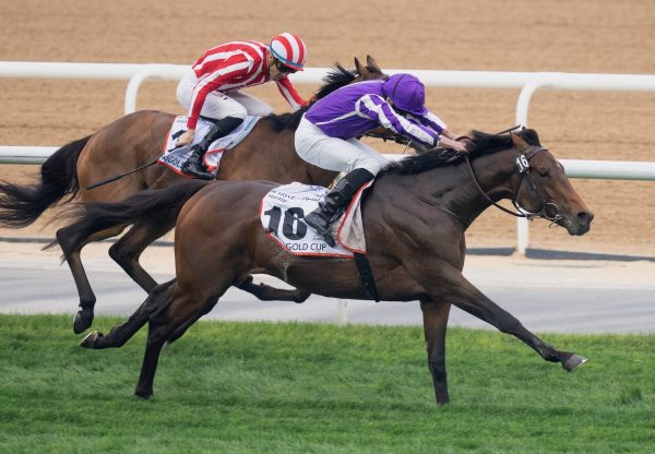 Tower Of London (Galileo) Wins The Group 2 Dubai Gold Cup at Meydan