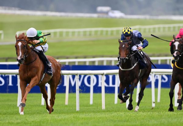 Trustyourinstinct (churchill) Wins The Group 3 International Stakes