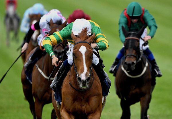 Trustyourinstinct (churchill) Wins The Listed Orby Stakes