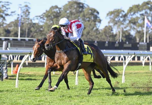 Tuileries (so you think) Wf 750