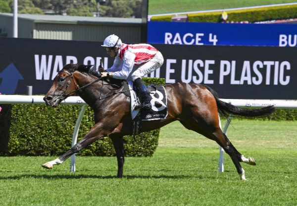 Tuileries (So You Think) Randwick 750