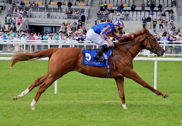 Tunbridge Wells (No Nay Never) Wins At The Curragh
