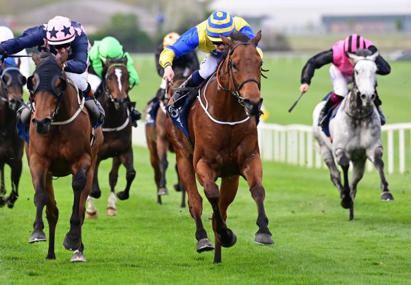 Two Stars (Starspangledbanner) Wins The Listed Woodlands Stakes