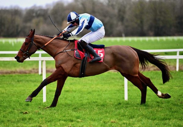 Ufouria (Vadamos) Wins The Mares Bumper At Cork