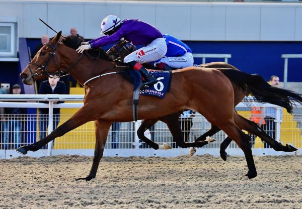 Umala (Saxon Warrior) Dundalk