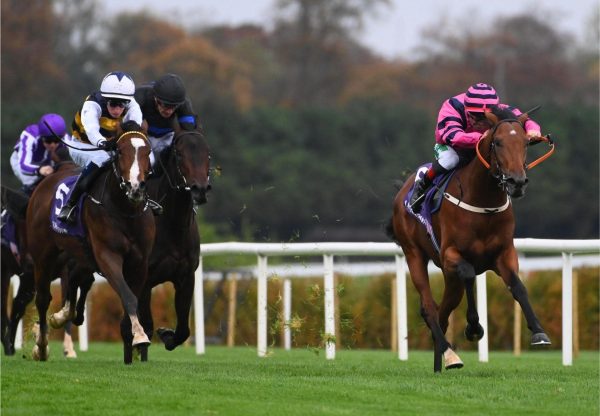 Unauthorized Starspangledbanner Leopardstown