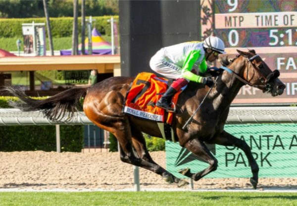 Uncorked (Pierro) Grade III winner in the USA